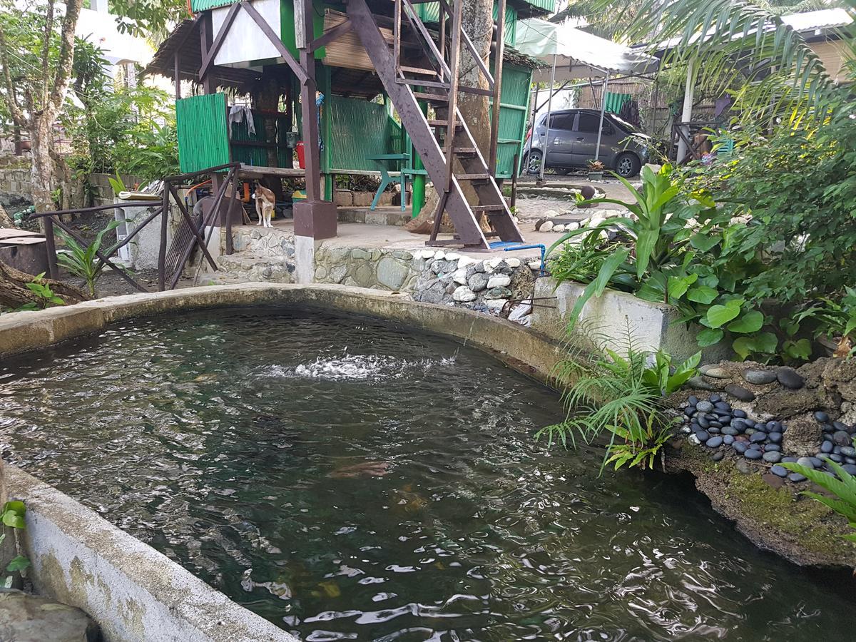 Nature Green Forest Resort Baler Exterior photo