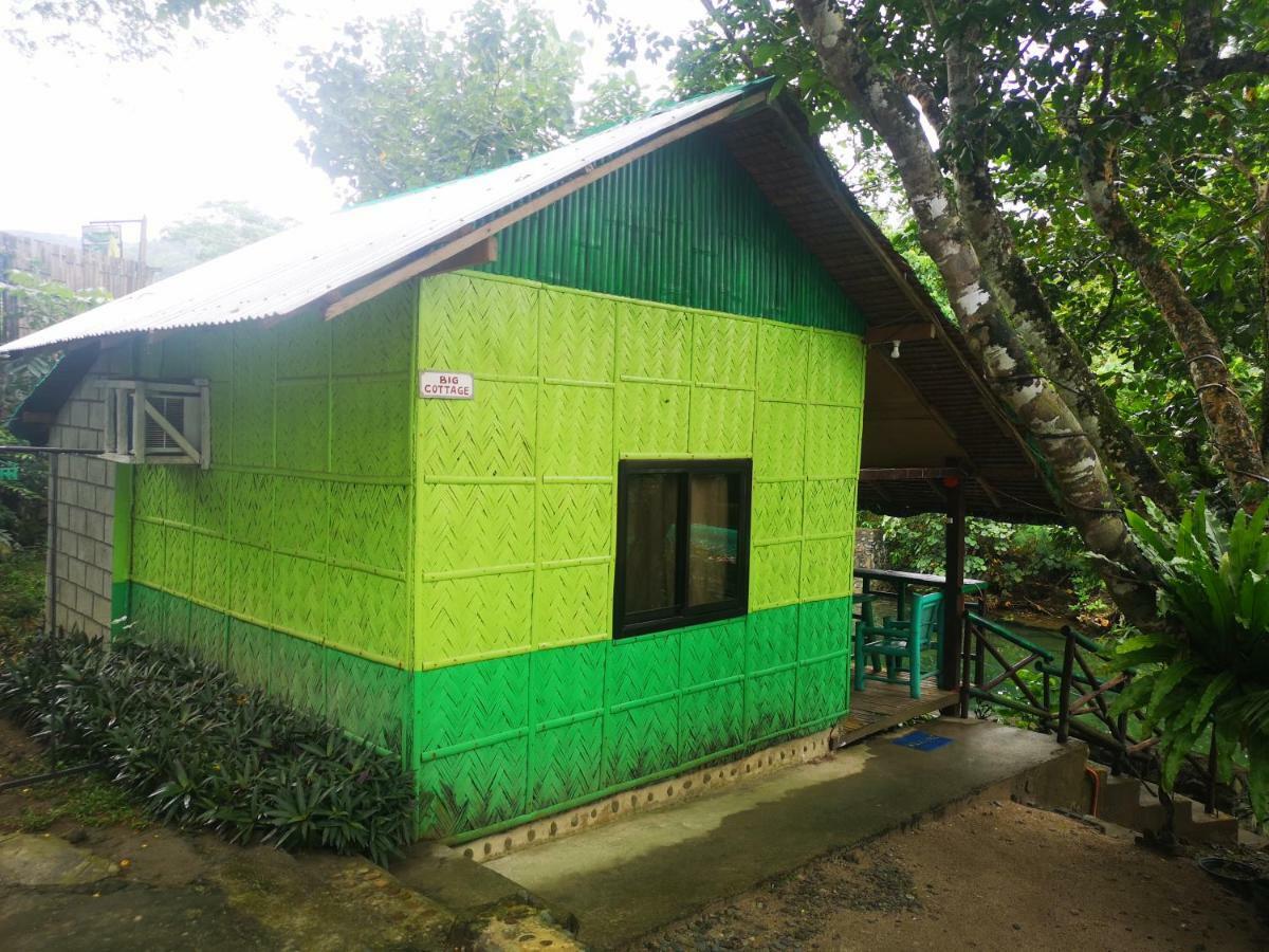 Nature Green Forest Resort Baler Exterior photo